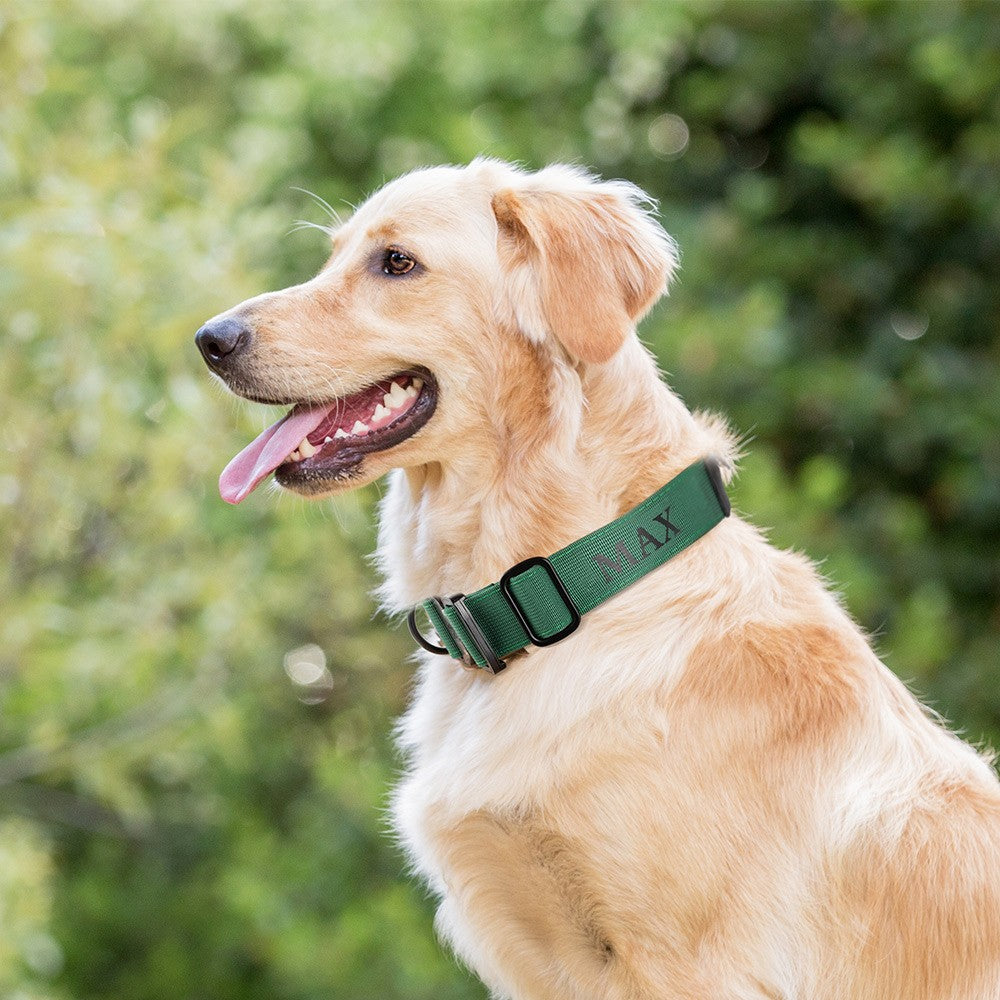 Personalized Dog Collar Compatible with Apple AirTag