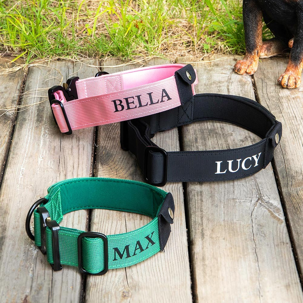 Personalized Dog Collar Compatible with Apple AirTag