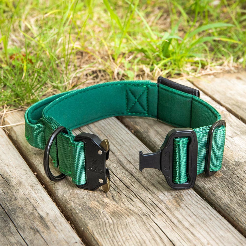 Personalized Dog Collar Compatible with Apple AirTag