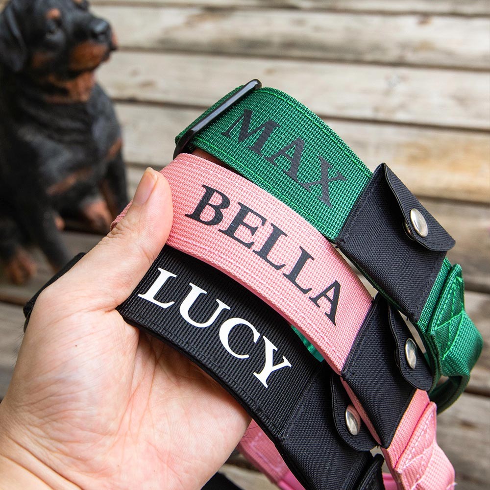 Personalized Dog Collar Compatible with Apple AirTag