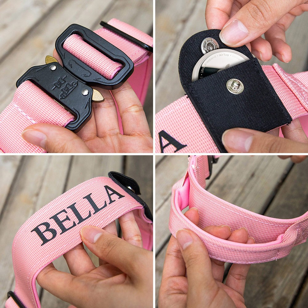 Personalized Dog Collar Compatible with Apple AirTag