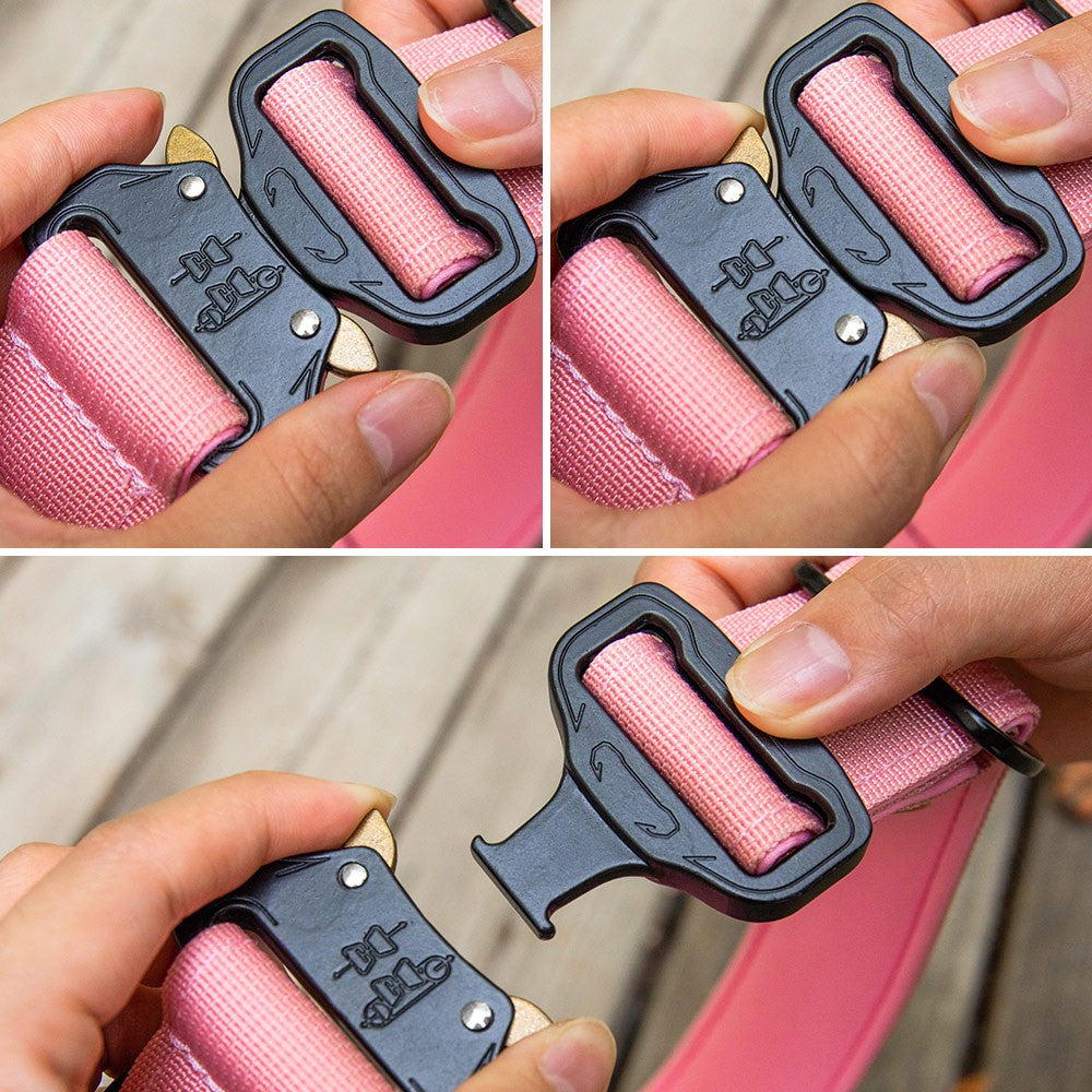 Personalized Dog Collar Compatible with Apple AirTag