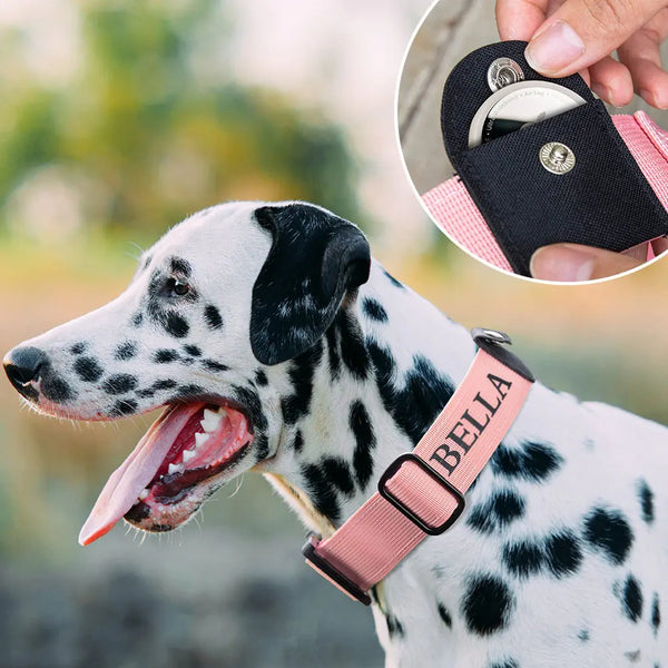 Personalized Dog Collar Compatible with Apple AirTag
